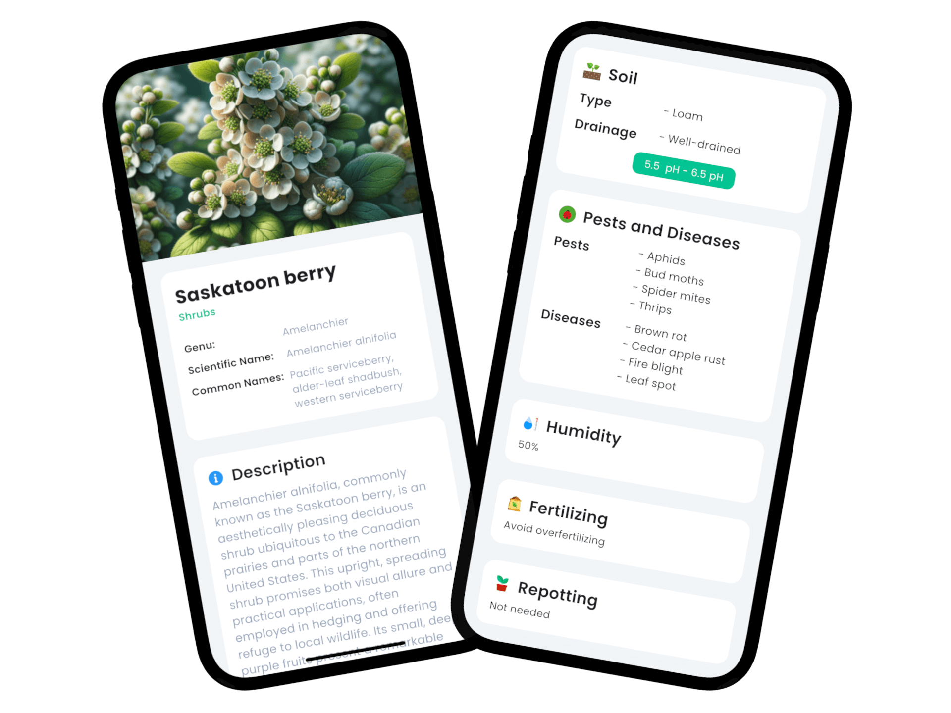 plant identification app interface showing plant identification and care features