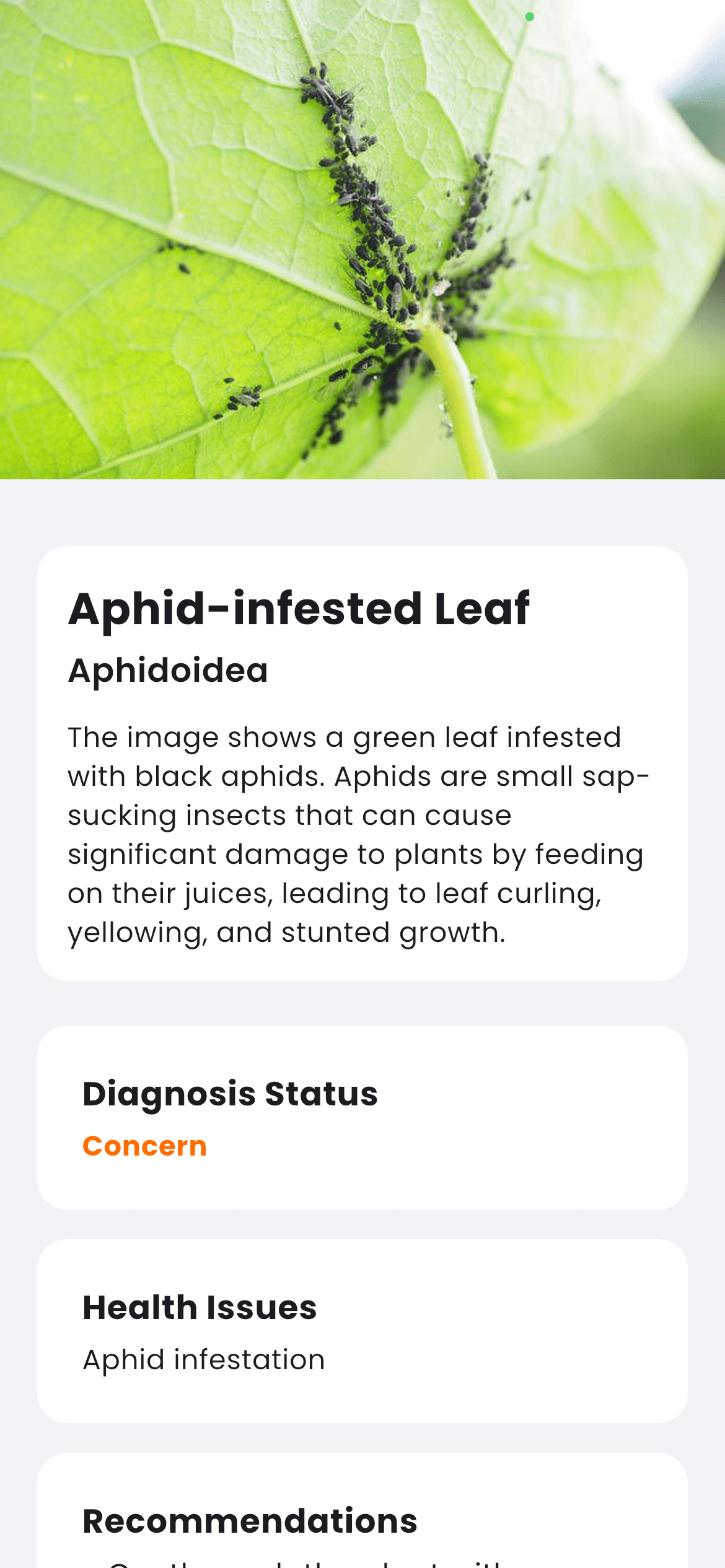 Analyzing plant health